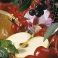Teekanne Obst 02